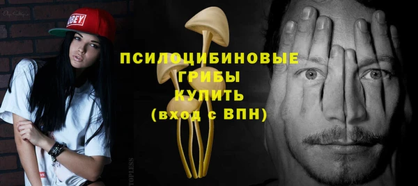прущая мука Алзамай