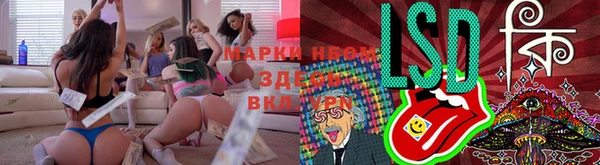 хмурый Алексеевка